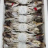 冷冻梭子蟹 1kg